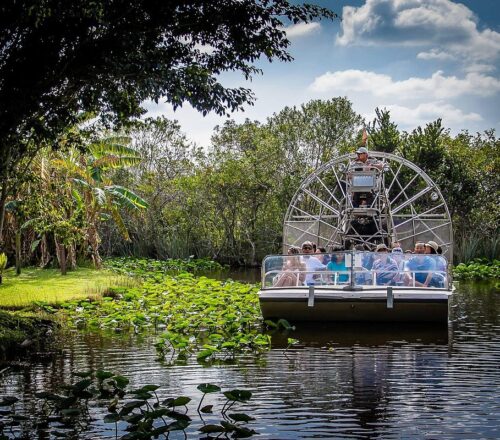 everglades-safari-park